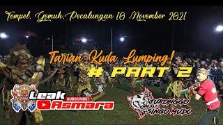 TSM di gemuh || wiroyudho Terganas | turonggo singo mudo | lapangan gemuh pecalungan | #part 2