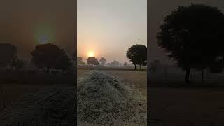 Deshi #vloge #villagers #short #