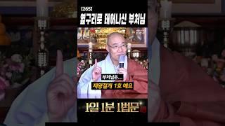 제왕절개 1호? 부처님의 놀라운 탄생 이야기! #shorts #석가모니 #4대성인