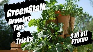 Tips for Growing in a GreenStalk Successfully!  Soil, Feeding, Bug Protection, & More!