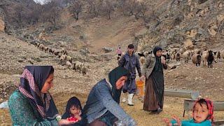 The challenges of nomadic life on a rainy day in Iran