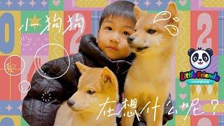 【小伙伴游乐园Little Friends 08】“我爱狗狗”I Love Dogs