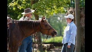 Herausforderung Mensch & Pferd