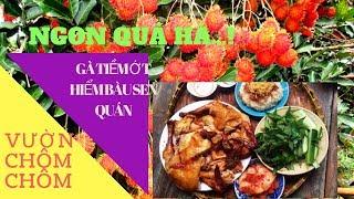 Vườn Chôm Chôm - Bàu Sen Quán - gà tiềm ớt hiểm  - Rong Chơi cùng Người Hàn Quốc