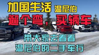 加国生活28：逛逛加拿大温尼伯的二手车行，看看二手价格和行情，遛个弯就买辆车？#加拿大 #海外生活 #温尼伯 #移民 #留学 #曼省