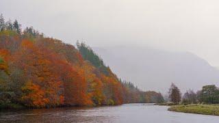 AUTUMN IN SCOTLAND | visiting the oldest tree in the UK, climbing a mountain & watching seals