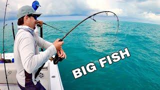 *GOLIATH* Grouper and Backcountry Fishing at Bud n' Mary's Marina