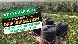 WHY YOU SHOULD INSTALL THE DRIP IRRIGATION SYSTEM/ improving  yield through drip irrigation.