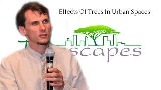 Effects Of Trees In Urban Spaces  Why Trees Are Important To Our Environment  Auroville India