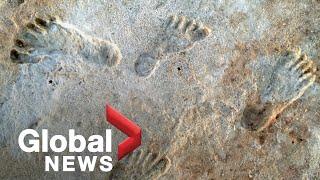 Prehistoric pedestrians: Oldest human footprints in North America found in New Mexico