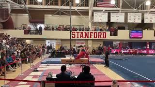 Asher Hong Pommel Horse - at Stanford Open 230128