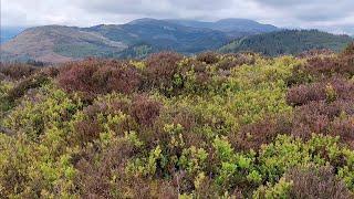 Lime Craig Trail -Aberfoyle. A Hidden Gem |󠁧󠁢󠁳󠁣󠁴󠁿