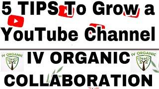 Top 5 YouTube Tips (HOW TO) | Collaboration Invitation w/ IV Organic®