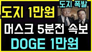 도지코인 일론 머스크의 역습 오히려 미중 개선으로 중국자본 도지 유입된다고!? 도지 1만원 도지투더문