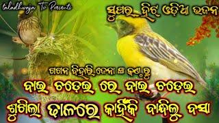 Bai Chadhei Re Bai Chadhei || Odia Bhajan || Gagan Bihari Jena || TaladhwajaTv|| Best Odia Bhajan