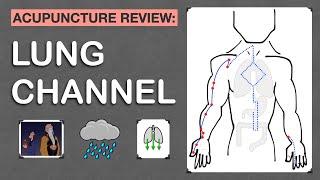 Points Review: Lung Channel Acupuncture Meridian