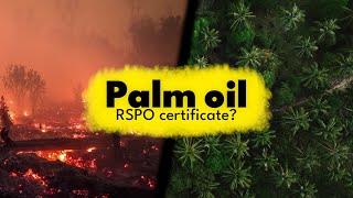 The Problem With Palm Oil - RSPO certifications helps?