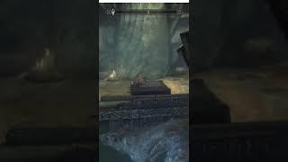 Did you know you could do this in Skyrim?