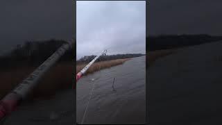 Злая поклевка щуки на воблер #рыбалка #fishing #shortvideo