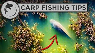 How To Catch MORE Carp This Spring - Carp Fishing Advice
