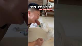 해병대 아저씨와 총력전 (feat. 110kg vs 2kg) #해병대 #rokmc #military #팔각모 #강아지 #말티푸 #멍미르 #shorts #shortvideo