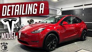 2022 Tesla Model Y Full Detail : Exterior Detailing