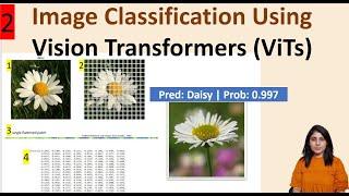 Image Classification Using Vision Transformer | ViTs