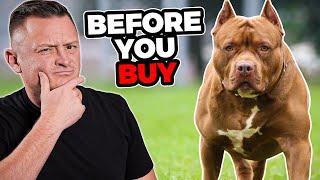 Is the PIT BULL Right For You?