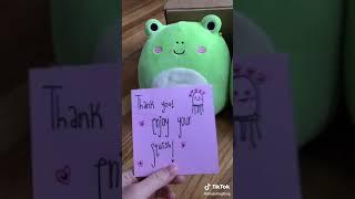 10,000 squishmallow mails later  ┃Squishtok Squish Squad tik tok dyi song mail trade