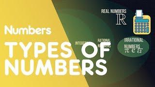 Types Of Numbers | Numbers |  Maths | FuseSchool