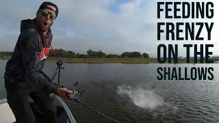 Feeding Frenzy on the Shallows - Autumn Pike Fishing in Sweden