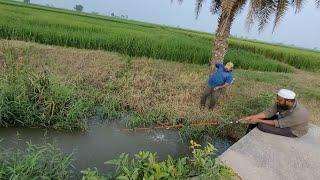 Catching Indian Redbilled & Catfishes in Small Stream|Small single hook fishing techniques