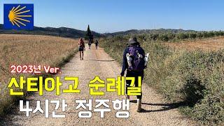 [산티아고 순례길] 2023 최신버전 정주행 몰아보기 (10월~11월 시즌)