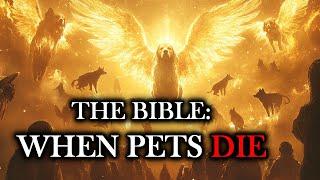 What Happens to Pets When They Die? What the Bible Says? - YOU NEED TO KNOW THIS