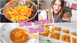 BEIKOSTSTART  DER ERSTE BREI FÜRS BABY ab dem 4. Monat | REZEPTVIDEO & ALLES WAS DU WISSEN MUSST!