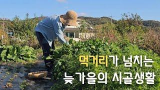 sub)autumn harvest, pear, apple, radish, green onion, chives, garlic, making hot tea, Korean dishes