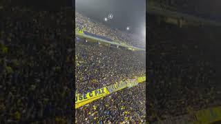 Boca junior fans are something else