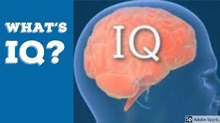 What is IQ? - #IQ1