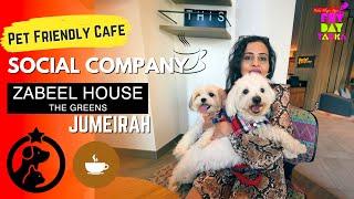 Pet friendly cafe in Dubai - Social Company in Zabeel house by Jumeirah the Greens Dog friendly  