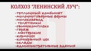 Как уничтожали колхоз "Ленинский Луч" в Красногорском Петрово-Дальнем