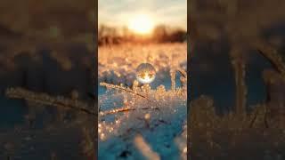 Crystal Sphere Captures Sunrise in a Snowy Wonderland ️ #nature #winterserenity #relax #winter