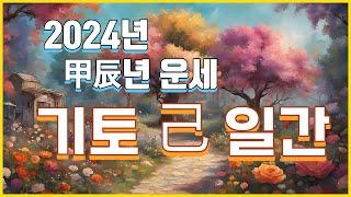 24년 기토일간 운세