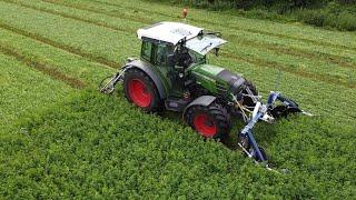 Klein Rot mowing alfalfa