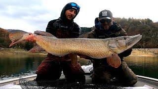 RECORD PIKE FROM ITALY! 130 CM and 20KG+ Fish! Lure Fishing from the Boat [Fish of a Lifetime]