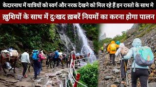 Kedarnath Yatra 2024 || Kedarnath Yatra Live Update Today || Kedarnath Yatra Update || Kedarnath