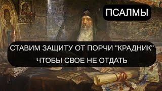 СТАВИМ ЗАЩИТУ ОТ ПОРЧИ "КРАДНИК"