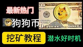 最新热门狗狗币挖矿教程（潜伏）｜4G以上内存｜狗狗币挖矿软件