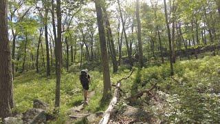 Day 101 | Friends are a Game Changer | Appalachian Trail Thru Hike Vlog