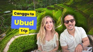 We are going to Ubud! ( Bali, Indonesia  )