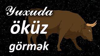 Yuxuda öküz görmək  Qısa #yuxuyozma - SƏSLİ YUXU YOZMALARI